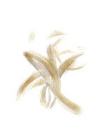 Umysł - fabryka złudzeń