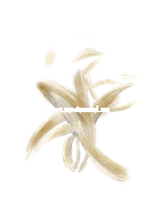 Prosperity Training - Klucze do sukcesu